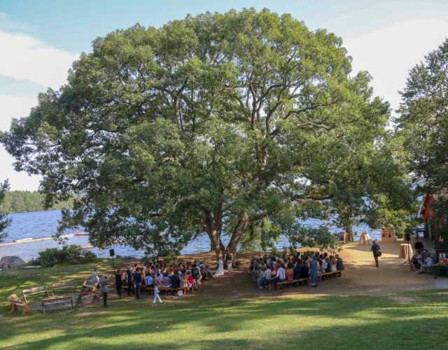 Wedding ceremony held underneath a large tree